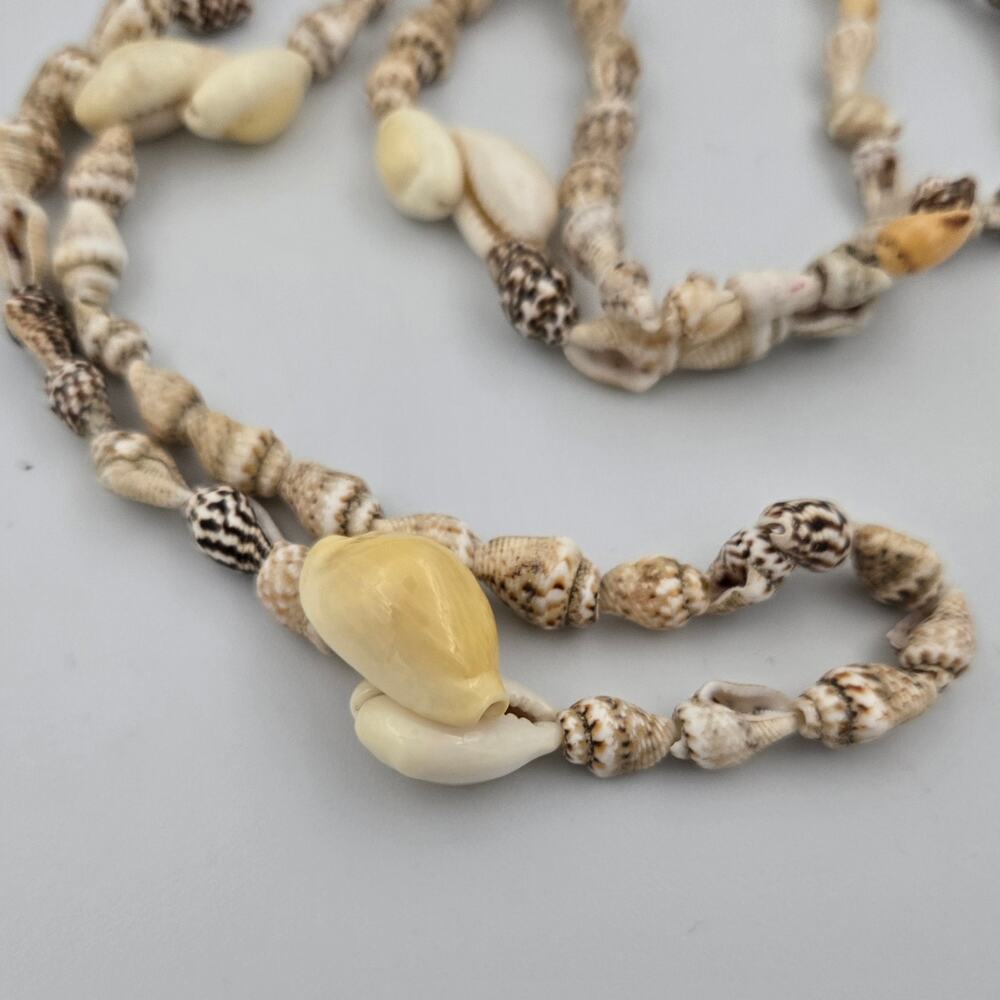 Conch Cowrie Ocean Seashell Necklace Approx 16 Inches - Picture 2 of 5